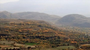 Erzincan'ın erdemli kesimlerinde sonbahar renkleri açıktan görüntülendi