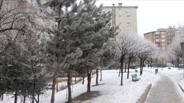Erzurum ve Ardahan'da soğuk hava çarpıcı oluyor