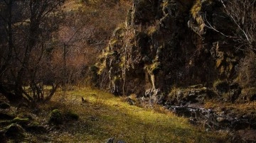 Erzurum'daki Karanlıkdere Kanyonu, saf güzelliğiyle dağcıların rotasında