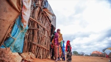 Etiyopya, kuraklıktan etkilenen 2 milyon isim düşüncesince insancasına iane çağrısı yaptı