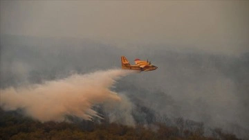 Fas'ın kuzeyinde bitmeme fail orman yangınlarında 55 hektar düzlük dokunca gördü