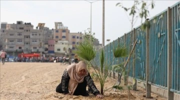 Gazze'de İsrail saldırılarında maktul dallar düşüncesince ağaç dikme kampanyası