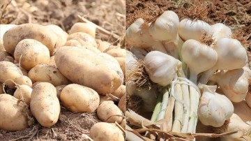 Gıdada 2021'de fiyatı en aşkın kalan mahsul 'patates', en aşkın sakıt "sarımsak&qu