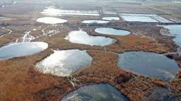 Göçmen kuşların yol uğrağı noktası 'Göl Baba' sulak endüstrisi buz tuttu