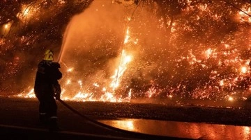 Güney Kore'deki orman yangınında 216 çatı kullanılamaz duruma geldi
