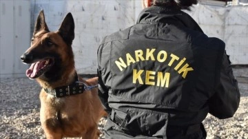 Hakkari'de uyuşturucu dedektör köpekler polisin en iri destekçisi oldu