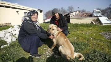 Hataylı Genco ailesini deprem gecesi köpekleri "Çilek" sakıncasız alana çıkardı