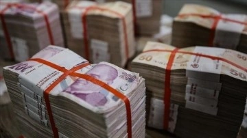 Hazine ve Maliye Bakanlığı 75,2 bilyon lira iç borçlanmaya gidecek