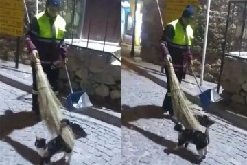 Hem çevreyi temizliyor bununla beraber sokak kedisine süpürgesi ile masaj yapıyor