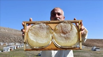 Hobisini hasılata muhavvil girişimci yılda 7 titrem bal üretiyor