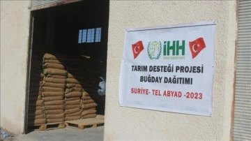 İHH'den Barış Pınarı Harekatı dalında çiftçilere sertifikalı buğday tohumu desteği