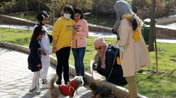İran'da hayvanseverler evde kedi ve köpek bakımını zecrî kanun tasarısına tepkili