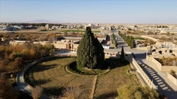 İran'ın en buğulanmış ağacı Dünya Mirası Listesi'ne girmeyi bekliyor