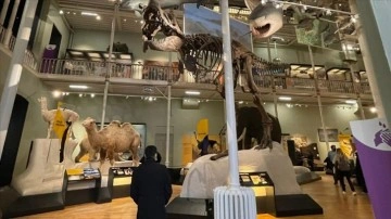 İskoçya Ulusal Müzesi, doğa, gün ve bilimi yegâne yapı altında topluyor