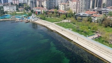 İstanbul'da bazısı sahillerde müsilaj benzeşim pislik görüldü