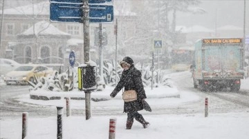 İstanbul'un birtakımı ilçelerinde derin kar yağışı başladı