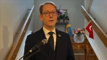 İsveç Dışişleri Bakanı Billström: Teröre hakkında Türkiye'nin kendini defans hakkı var