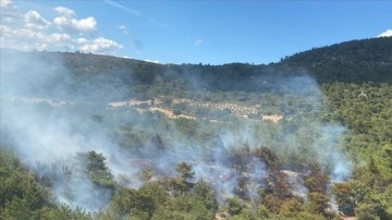 İzmir Bergama'da çıkan orman yangınına karışma ediliyor