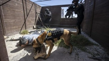 Jandarma köpeğinin 'gözünden' tutak istirdat operasyonu