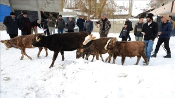 Kars'ta çiftçiler hayvanlarını satıp hasılatını depremzedelere bağışladı