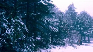 Kaz Dağları'nın erdemli kesimlerinde kar yağışı başladı