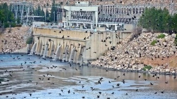 Keban Barajı ve HES aşırı sayıda kuş çeşidine ev sahipliği yapıyor