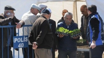 Kırşehir'de "40 Köy 40 Tohum Projesi"nde 150 bin göveri fidesi henüz dağıtıldı