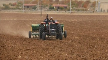 Kırşehir'de kuraklığa dayanıklılığının tespiti düşüncesince 35 tür arpa ve buğdayın sınama ekimi yapı
