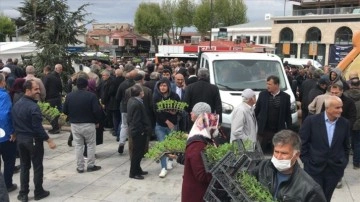 Kırşehir'de evcil tohumu heveslendirme düşüncesince 84 bin göveri fidesi dağıtıldı
