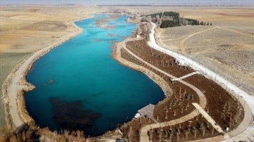Konya Ovası'nın kuraklıktan etkilenmeyen gölü himaye altına alındı