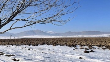 Kuş türlerine ev sahipliği işleyen Ardahan'daki Putka Sazlığı dondu