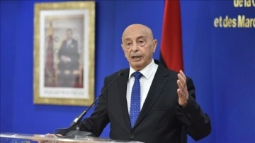 Libya Temsilciler Meclisi: Devlet Yüksek Konseyi acemi başbakanı seçilmiş istişarelerine katılmayacak