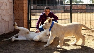 Libya'da vahşi hayvan yetiştiren aile halkın 'hayvanat bahçesi' özlemini gideriyor