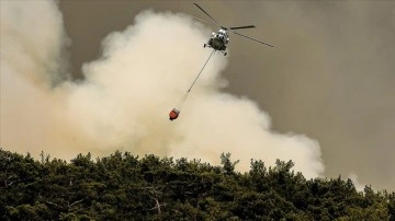 Manavgat'ta çakmakla orman yangını çıkaran sanığa 15 sene hapishane cezası