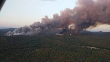 Marmaris'te orman yangınına dahil ediliyor