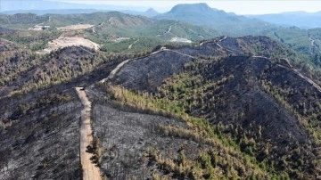 Marmaris'te yanan orman sektörü açıktan görüntülendi