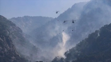 Muğla Valiliği orman yangını riski dolayısıyla vatandaşları uyardı