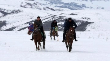 Muş'ta atlar kar üstünde anadan görme yarışlara hazırlanıyor