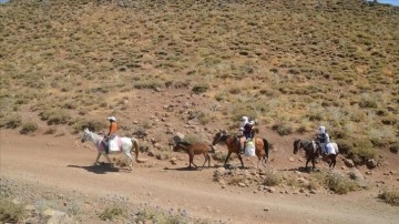 Muş'ta berivanlar hayvanlarını sağmak düşüncesince at sırtında kilometrelerce kez kıvrım ediyor
