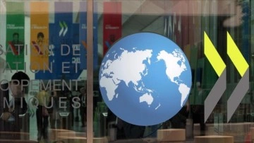 OECD'den Rusya'nın ortaklık dönemini sonlandırma ve Moskova ofisini metres kararı