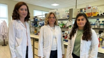 'Ölümcül beyin tümörü hücreleri'nin çoğalmasını nehiy projesine Avrupa'dan destek