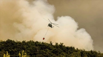Orman yangınlarıyla mücadelede arsıulusal teşrikimesai hedefleniyor