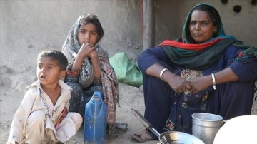 Pakistan çöllerinde canlı Rohiler, zorluğa karşın ağababa yurtlarını vazgeçme etmiyor