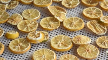 Portakal, muz ve limonu kurutup ilişik kıymetini artırdılar