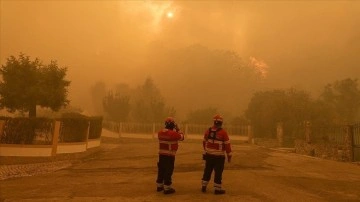 Portekiz'de 10 gündür devam eden orman yangınlarında 17 bin hektarlık düzlük yandı