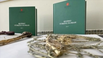 'Resimli Türkiye Florası'nın 3. cildi basıma hazır