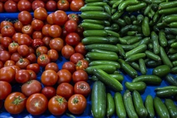 Rusya ve Ukrayna mücadelesi domates, biber ve görgüsüz fiyatını yüzdelik 30 düşürdü