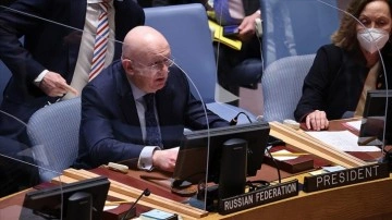 Rusya'nın BM Büyükelçisi: Zaporijya Nükleer Santrali'nde ışın etkin kaçıntı yok