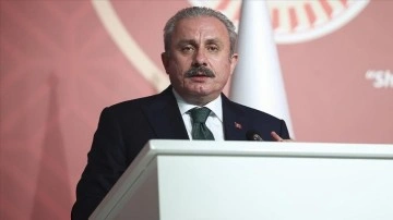Şentop, HDP'li Paylan'ın neymiş "Ermeni soykırımı" teklifini reddetme etti