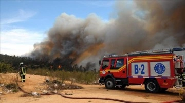 Şili'nin güneyindeki orman yangınında 100 ev bulunmayan oldu
